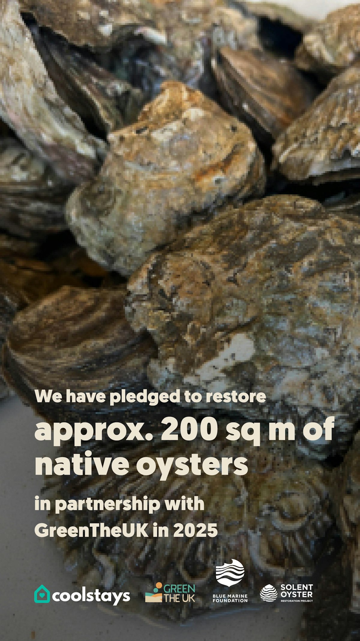 Uk temporate rainforest infographic