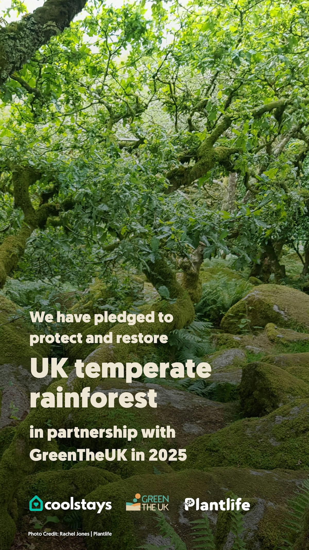 Uk temporate rainforest infographic